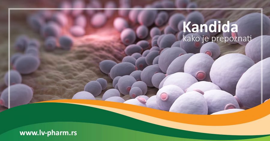 kako prepoznati kandidu 2