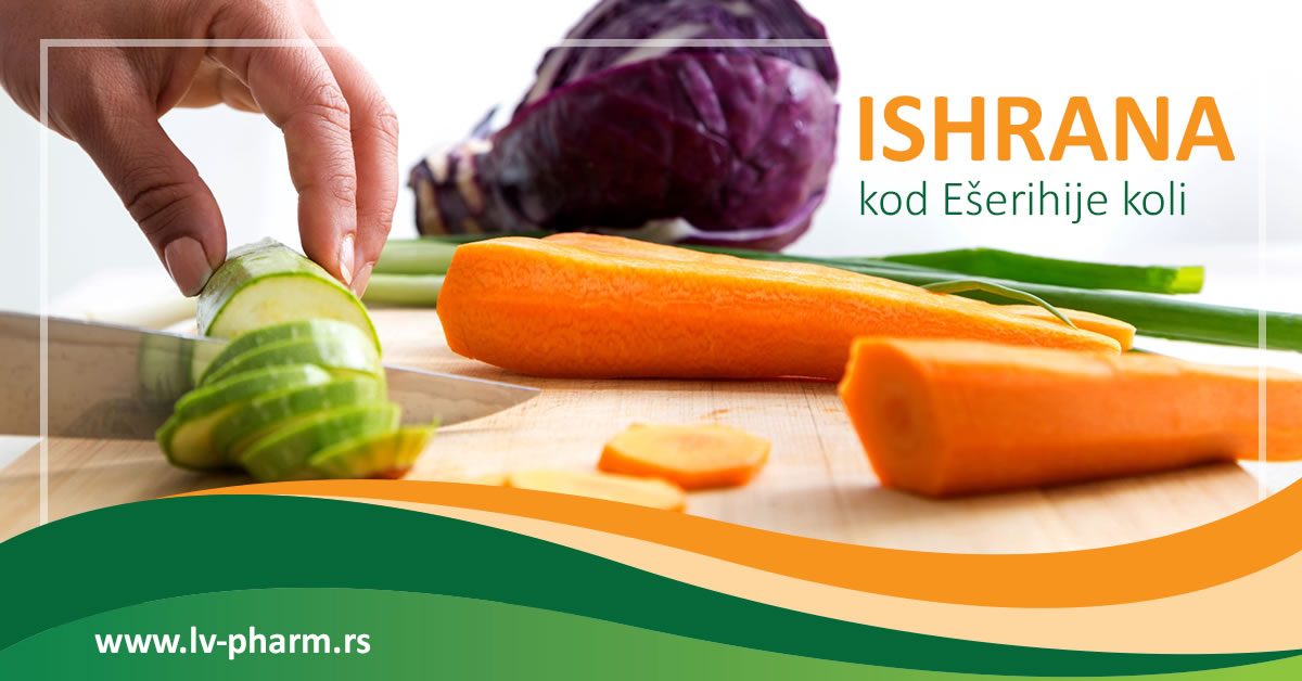 ishrana kod ešerihije koli