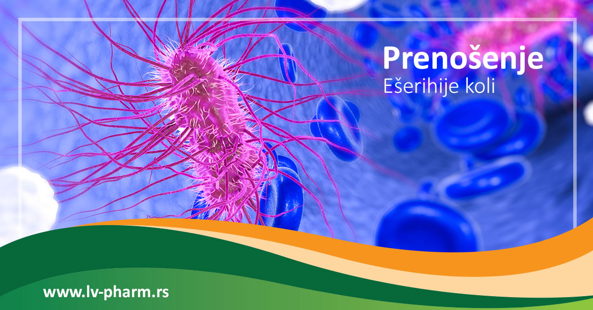 prenos eserihije koli