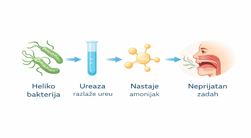 heliko bakterija i neprijatan zadah